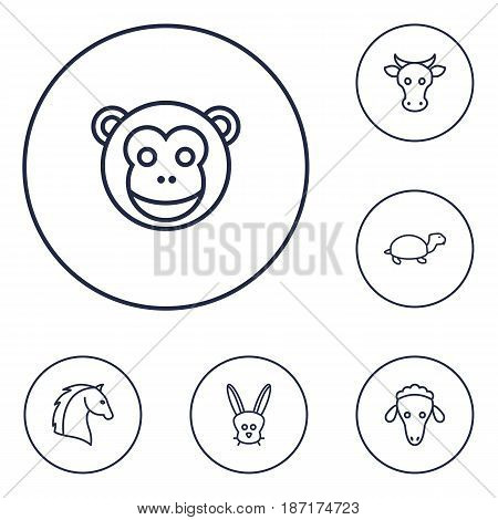 Set Of 6 Beast Outline Icons Set.Collection Of Turtle, Horse, Cow And Other Elements.
