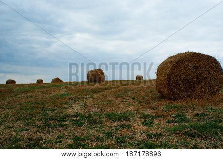 Round straw bales in harvested fields and blue sky with clouds.