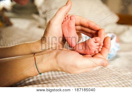 Baby little pink feet in parent hands