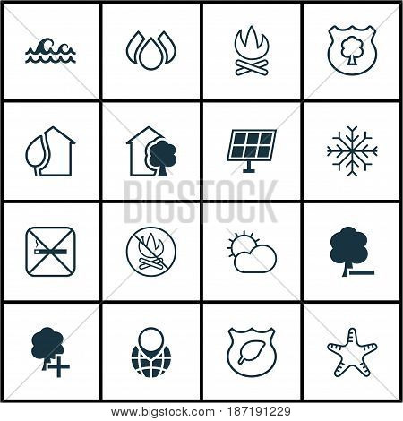 Set Of 16 Eco Icons. Includes Fire Banned, Insert Woods, Sun Power And Other Symbols. Beautiful Design Elements.