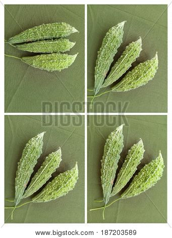 Green Momordica Or Karela isolated on Green Background
