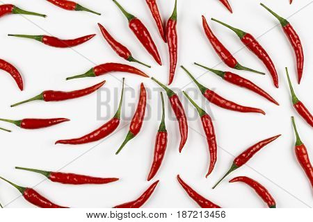 Fresh pods of red chili peppers on white background close up