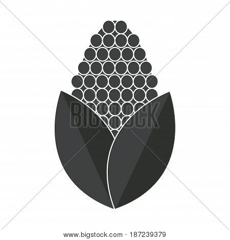 corn bioful alternative energy ethanol pictogram vector illustration