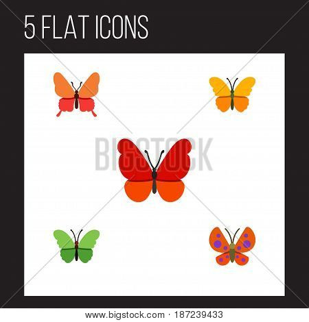 Flat Moth Set Of Milkweed, Butterfly, Monarch And Other Vector Objects. Also Includes Milkweed, Moth, Butterfly Elements.