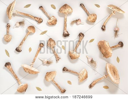Flat Lay Trendy Seamless Pattern With Forest Mushroom Parasol, Garlic And Laurel Like Background, Co