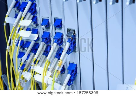 Fiber optic cable connected to card interface of networking switch