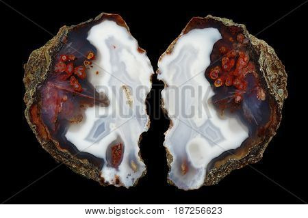 A cross section of the eyelet agate stone. Numerous pseudomorphs after dissolved minerals and multicolored silica rings colored with metal oxides are visible. Origin: Asni Atlas Mountains Morocco.
