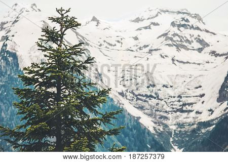 Forest snowy Mountains moody Landscape Travel aerial view serene scenery wild nature calm summer atmospheric scene