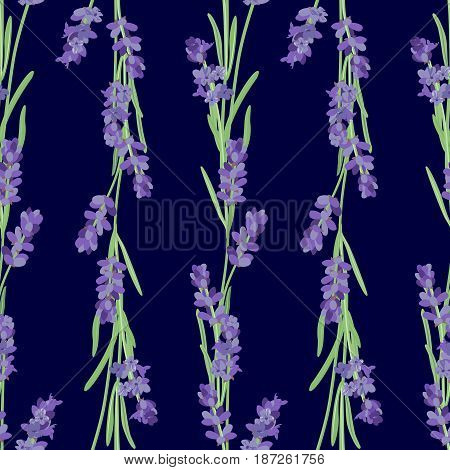 Seamless pattern with lavender flowers. Bright vector seamless background with sprigs of lavender.