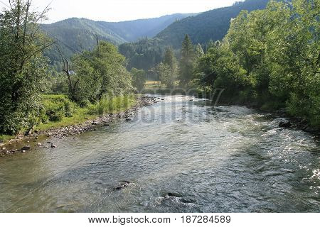 Mountain clean shallow river. Dzembronya. Carpathians. Ukraine.