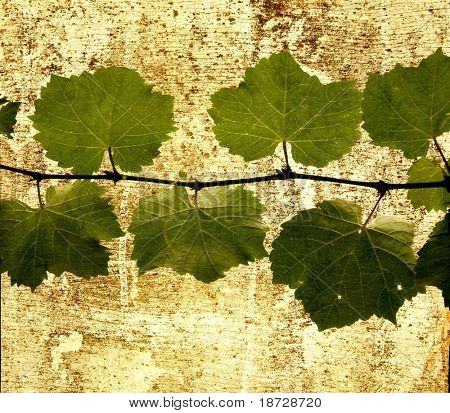 vino lascia con vecchio grunge background