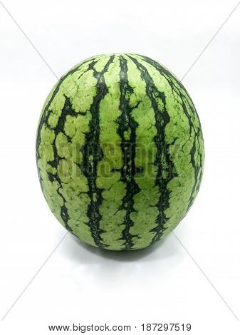 Fresh Organic Summer Watermelon Upright on Display