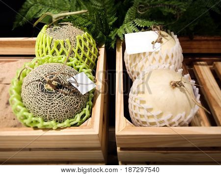 Fresh Japanese Honeydew and Melons for Sale