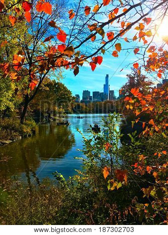 Autumn in Central Park New York City
