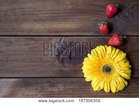 Yellow Gerbera flower and strawberry on dark wooden background. space for text