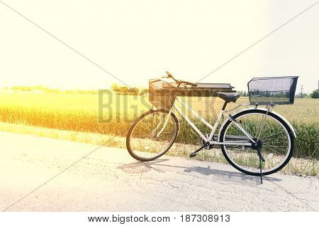 Bicycle  on the road and green rice field