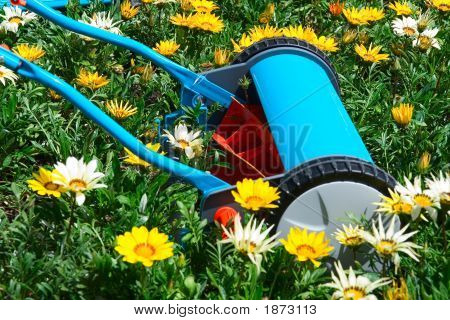 Mähen Blumen