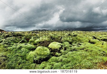 Moss covered alien landscape of Southern Iceland