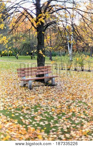A lonely bench in the autumn park of Sosnovka, St. Petersburg. Soft focus