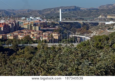 Palmeral and cityscape of Elche, Spain, the most southern palm grove in Europe