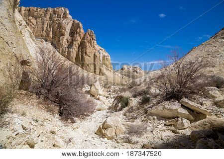 Rocks of a fantastic unusual shape, haloxylons and dry creek in the desert of Kazakhstan