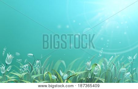 Natural background with grass and flowers and sun rays