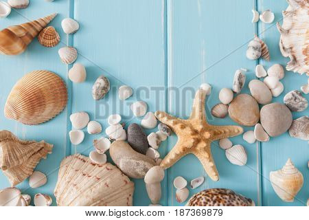 Seashells on blue wood, sea vacation background with copy space on wooden planks
