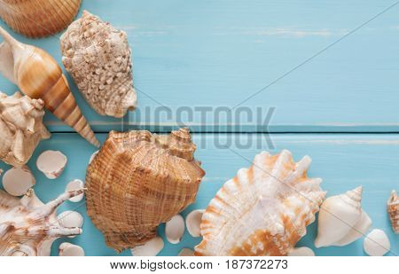 Sea vacation. Seashells frame on blue wood background with copy space on wooden planks, top view