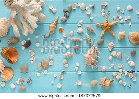 Seashells flat lay pattern on blue wood, sea vacation background with copy space on wooden planks, top view