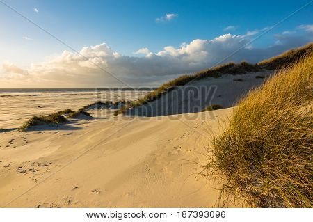 Dunes on the North Sea coast on the island Amrum Germany.