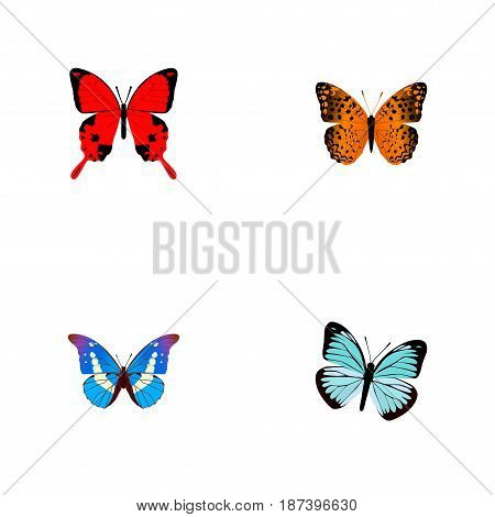 Realistic Lexias, Sangaris, Bluewing And Other Vector Elements. Set Of Beautiful Realistic Symbols Also Includes Monarch, Orange, Morpho Objects.