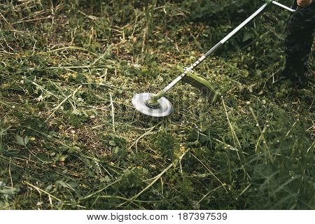 Gasoline Trimmer Head On Green Grass. Round Trimmer Blade.