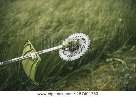 Gasoline Trimmer Head On Green Grass. Round Trimmer Blade.