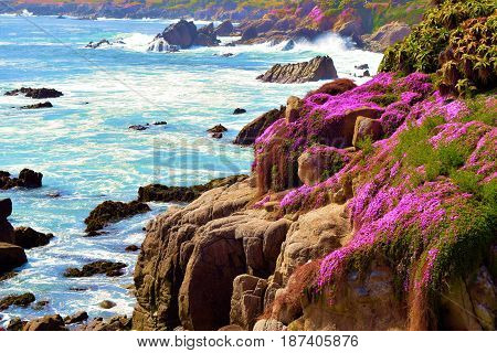 Rugged rocky bluffs next to the Pacific Ocean with spring wildflowers taken in Monterey, CA