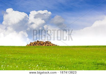 Spring blooming meadow with blue sky and clouds. Exploded wood on a blooming meadow. Spring sunny weather in nature.