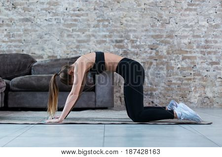 Fit young Caucasian woman practicing yoga at home standing in cat and cow pose arching her back.
