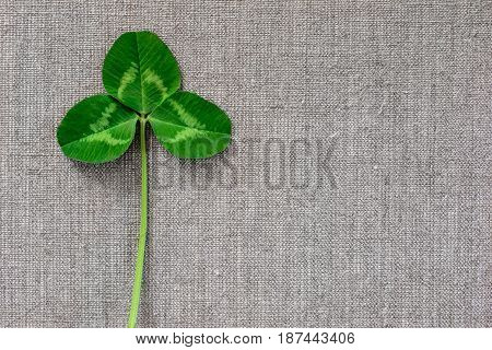 Green Leaves Of Clover On The Background Of Linen Cloth.