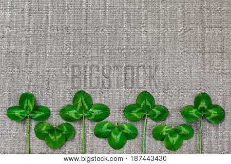 Green Leaves Of Clover On The Background Of Linen Cloth.