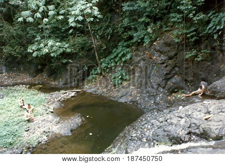 Upolu Island / Samoa - circa 1990: A young man prepares to slide down a waterfall to a pool below.