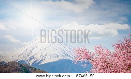 Mountain Fuji In Spring , Cherry Blossom Sakura And Fuji At Kawaguchiko Japan