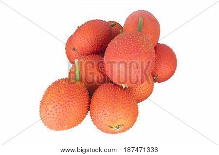 Baby jackfruit. Cochinchin gourd. Spiny bitter. Sweet gourd.