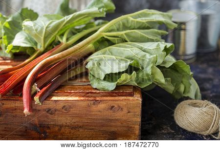 Rhubarb On A Dark Background