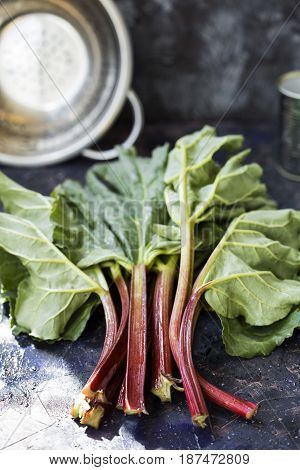 Rhubarb On A Dark Background