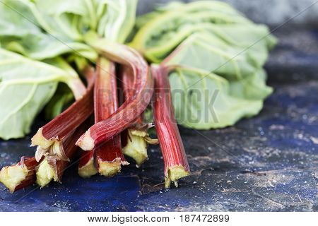 Rhubarb On A Dark Background