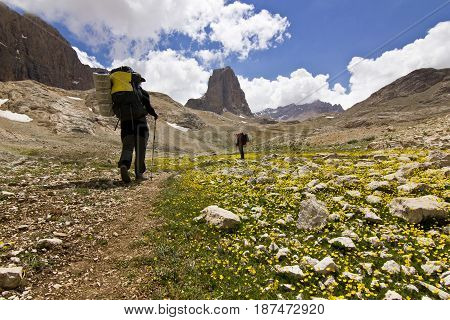 hiker standing on colorful yellow flowers and green grass with stones, and big rock on Background in Turkey mountains, Aladaglar