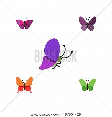 Flat Monarch Set Of Danaus Plexippus, Archippus, Summer Insect And Other Vector Objects. Also Includes Monarch, Butterfly, Insect Elements.