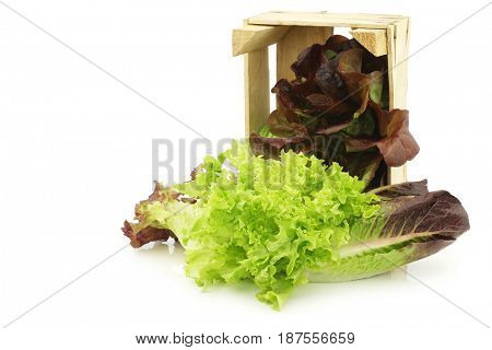 fresh romaine and red lettuce in a wooden crate on a white background