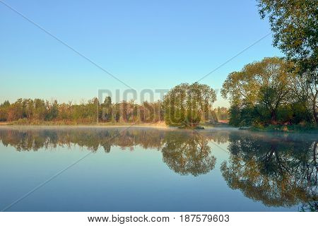 foggy river with the trees are reflected in water sunrice