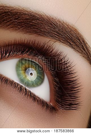 Close-up macro beautiful female eye with extreme long eyelashes perfect shapes of eyebrows. Lash design natural health lashes. Clean vision