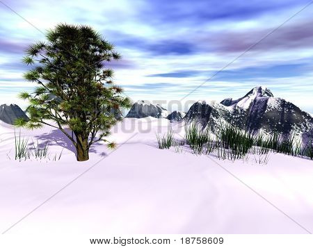 Fantasie immergrüner Baum in Winterlandschaft